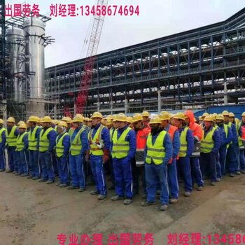 重慶九龍坡誠招新西蘭食品廠技術工 高薪機遇與技術轉讓的雙贏選擇